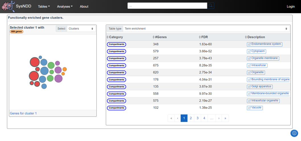 Functional clusters view